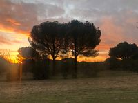 primer rayo de sol del 2021 primer rayo de sol del 2021