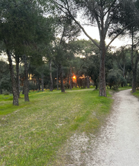 Amanecer en el monte del Pilar. Eduardo Amanecer en el monte del Pilar. Eduardo